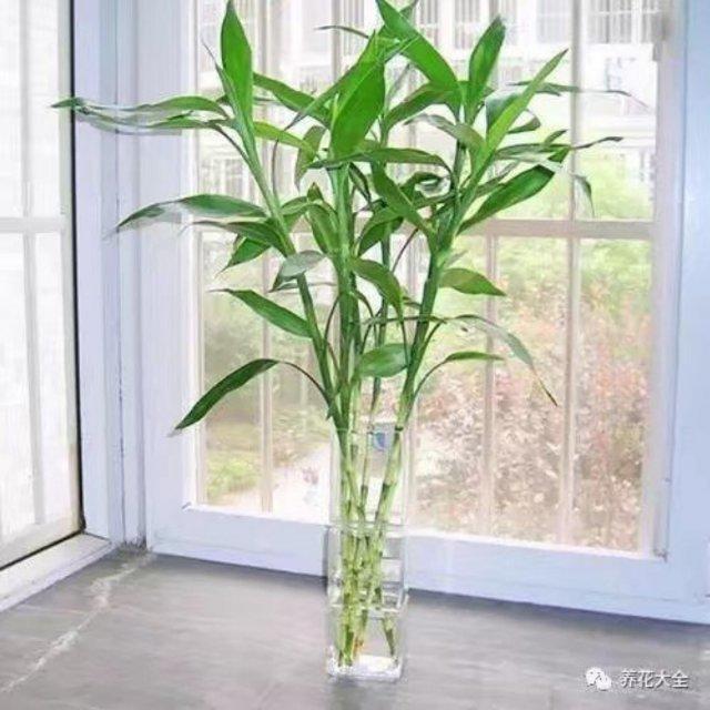 往事只能随意