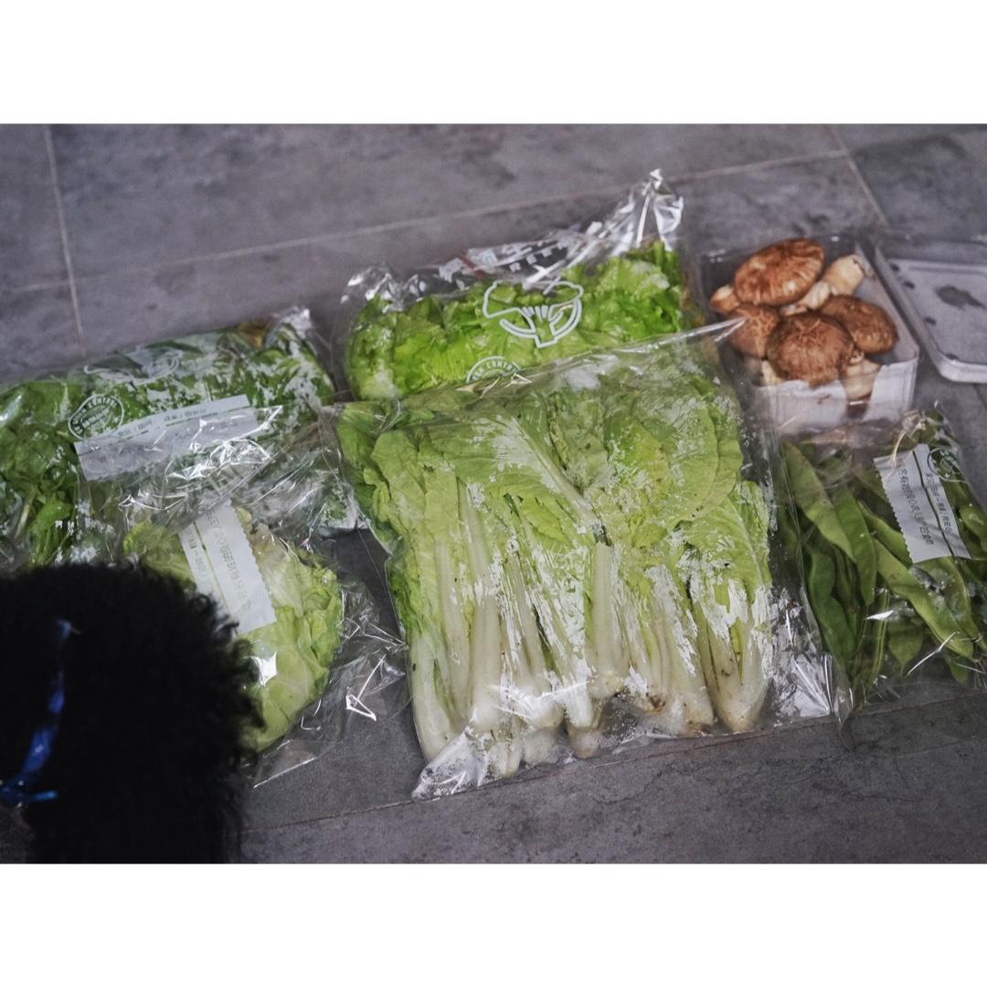 相机吃的菜哦(◍•ᴗ•◍)