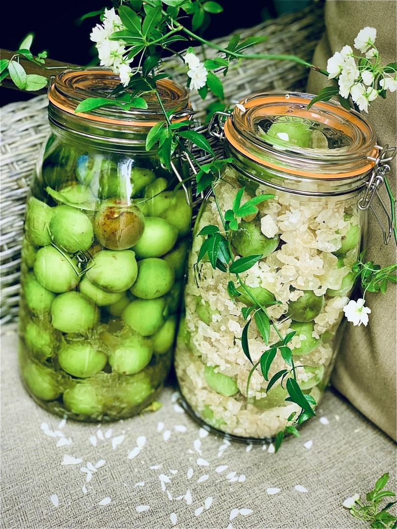 【青梅酒】梅子的沉醉时光（已填坑）