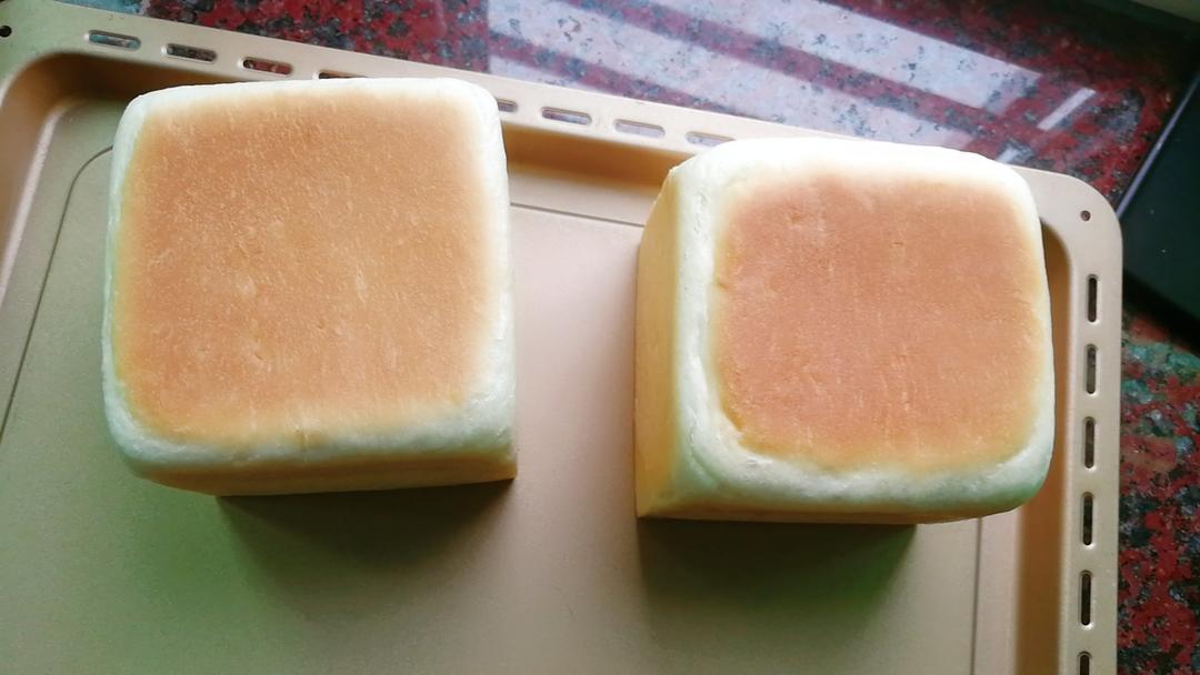 中种法生吐司记录版（水立方）