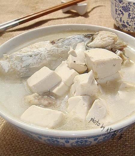 鱼鳔鱼头豆腐汤的做法