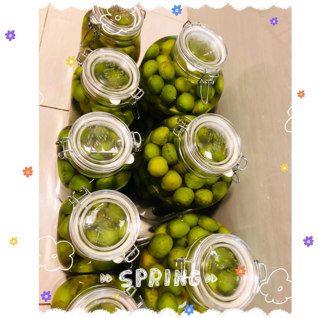 【青梅酒】梅子的沉醉时光（已填坑）