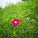 自己做的怎么样都好吃