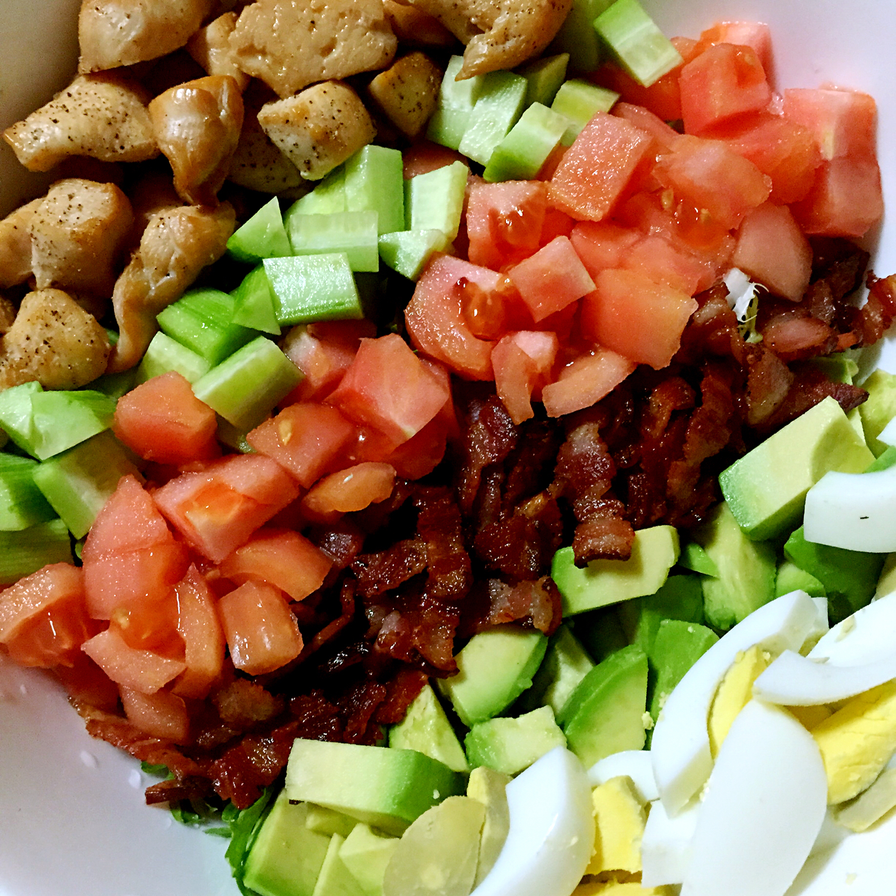 健康考伯色拉（新元素版）