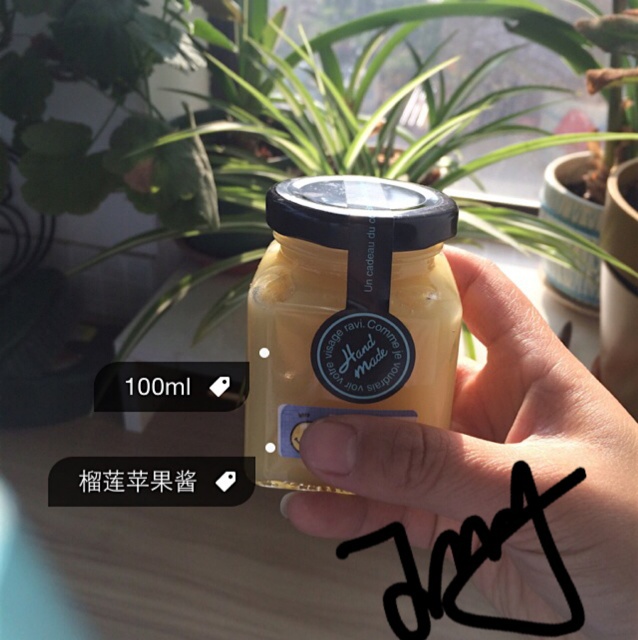 榴莲苹果酱（凯伍德料理棒）