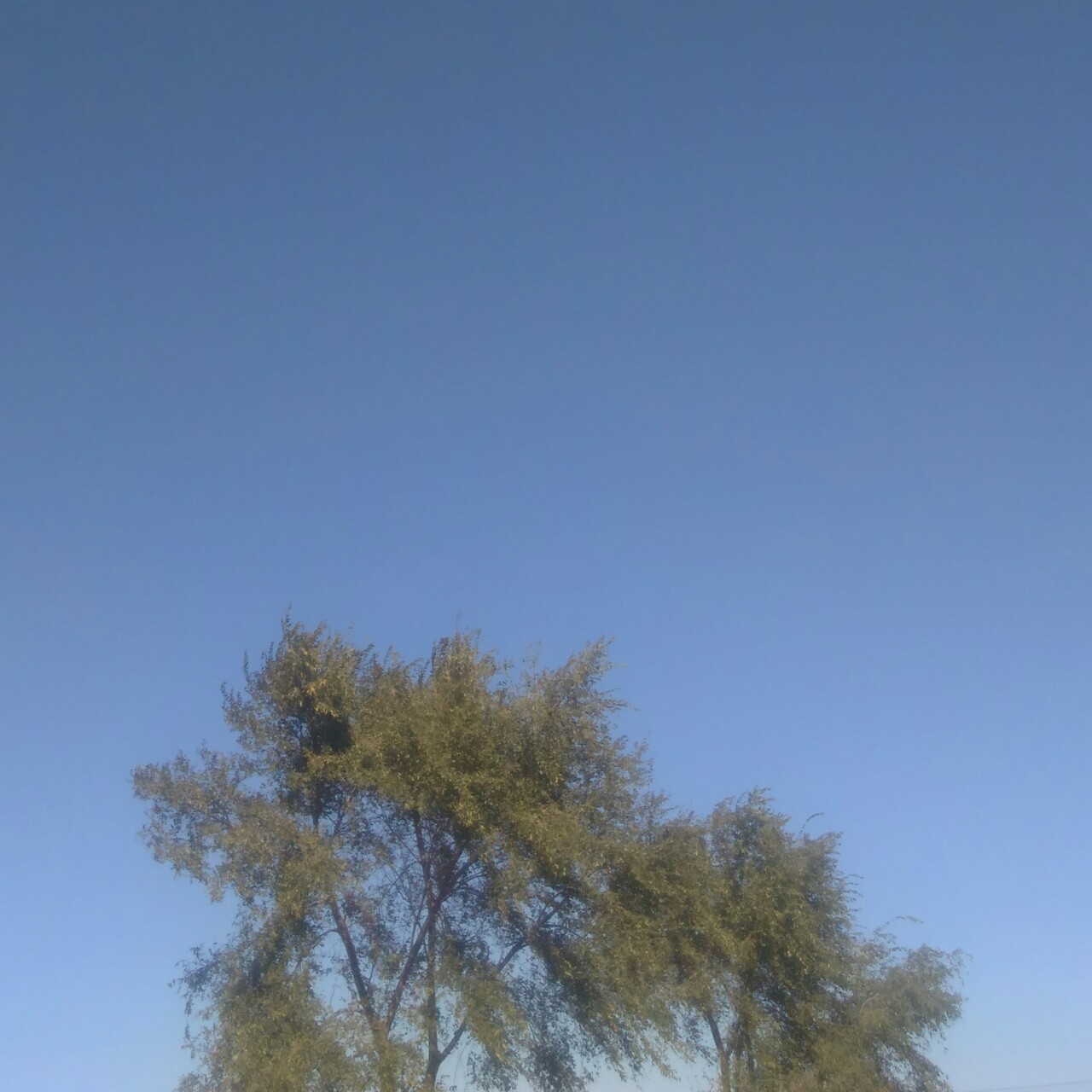 爱生活的小姑凉