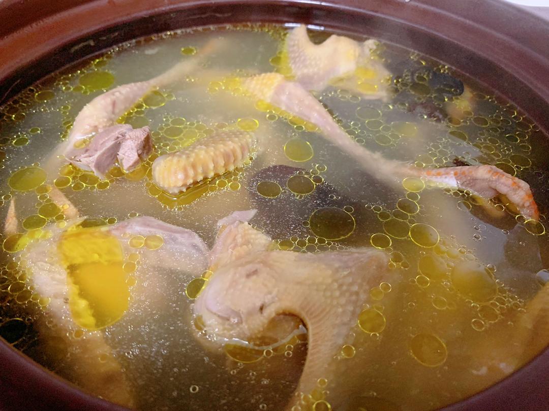 蔡家的小厨娘做的炖鸽子汤