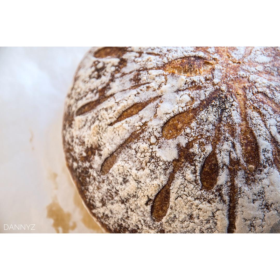 【Ken Forkish】The Saturday white bread基础欧包（附成功面包的要素一）