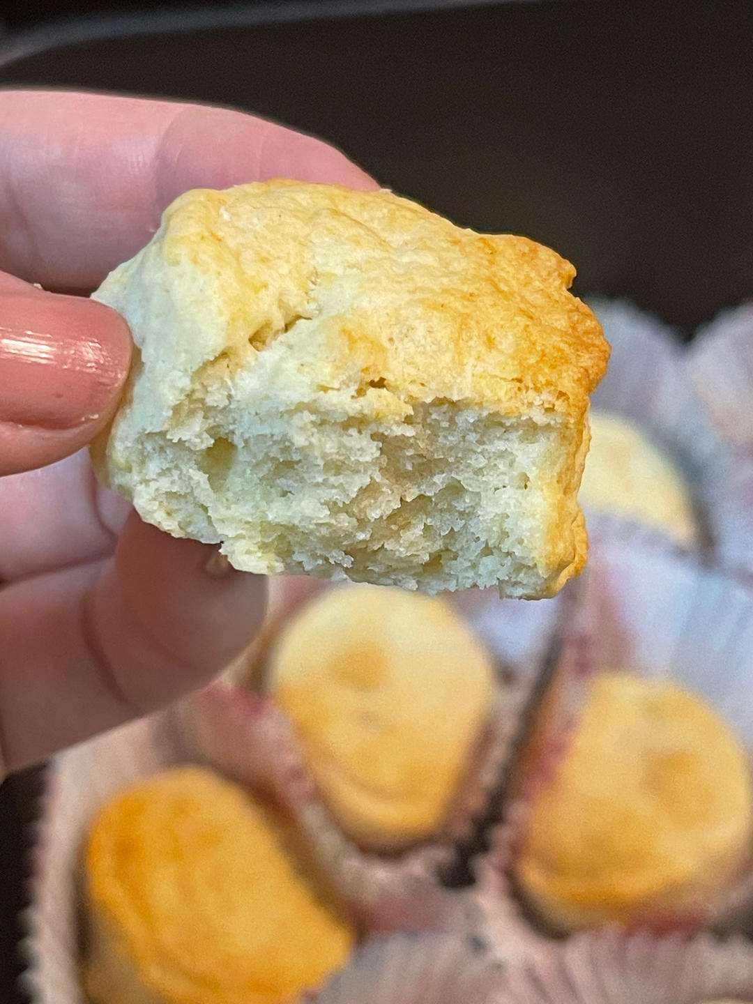 一定要尝试！爆炸好吃的！淡奶司康！【空气炸锅司康】