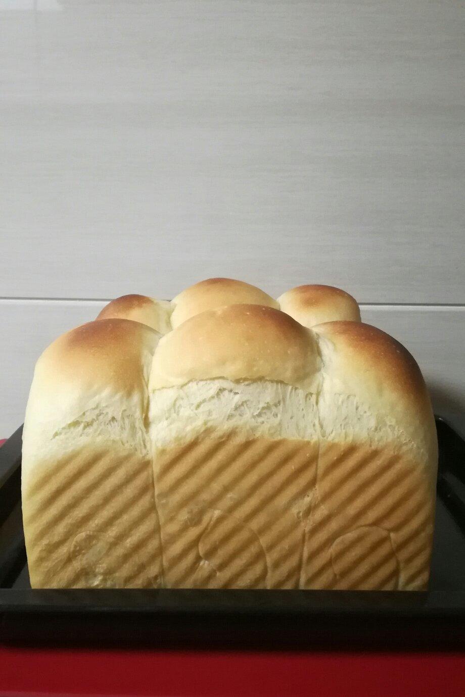 波兰种奶油吐司