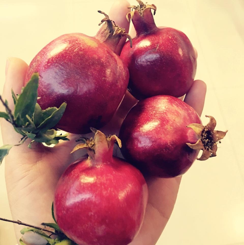 欢天喜地小wan子