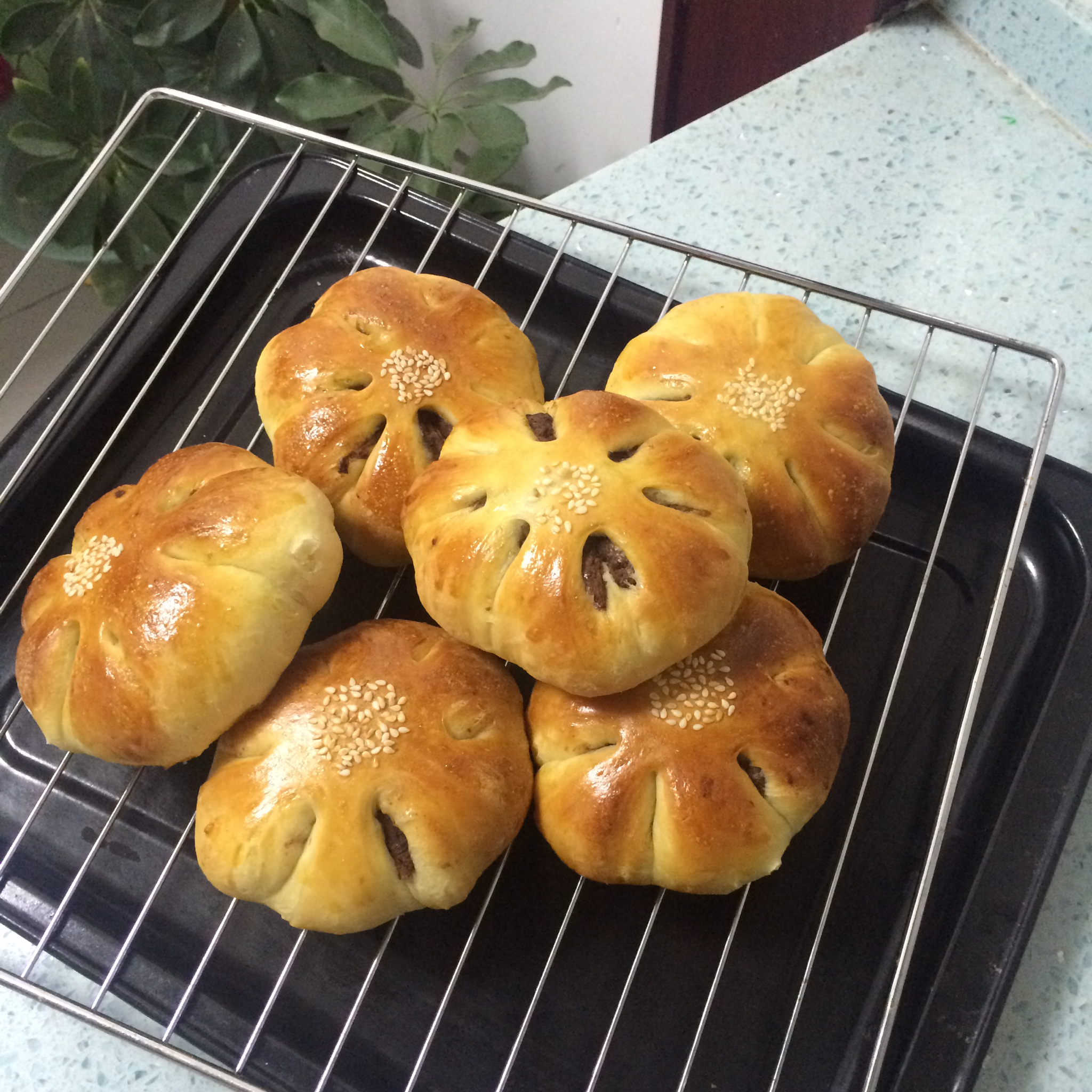 豆沙面包（中种）