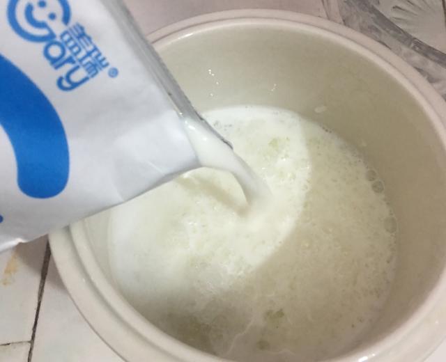 雪燕炖牛奶