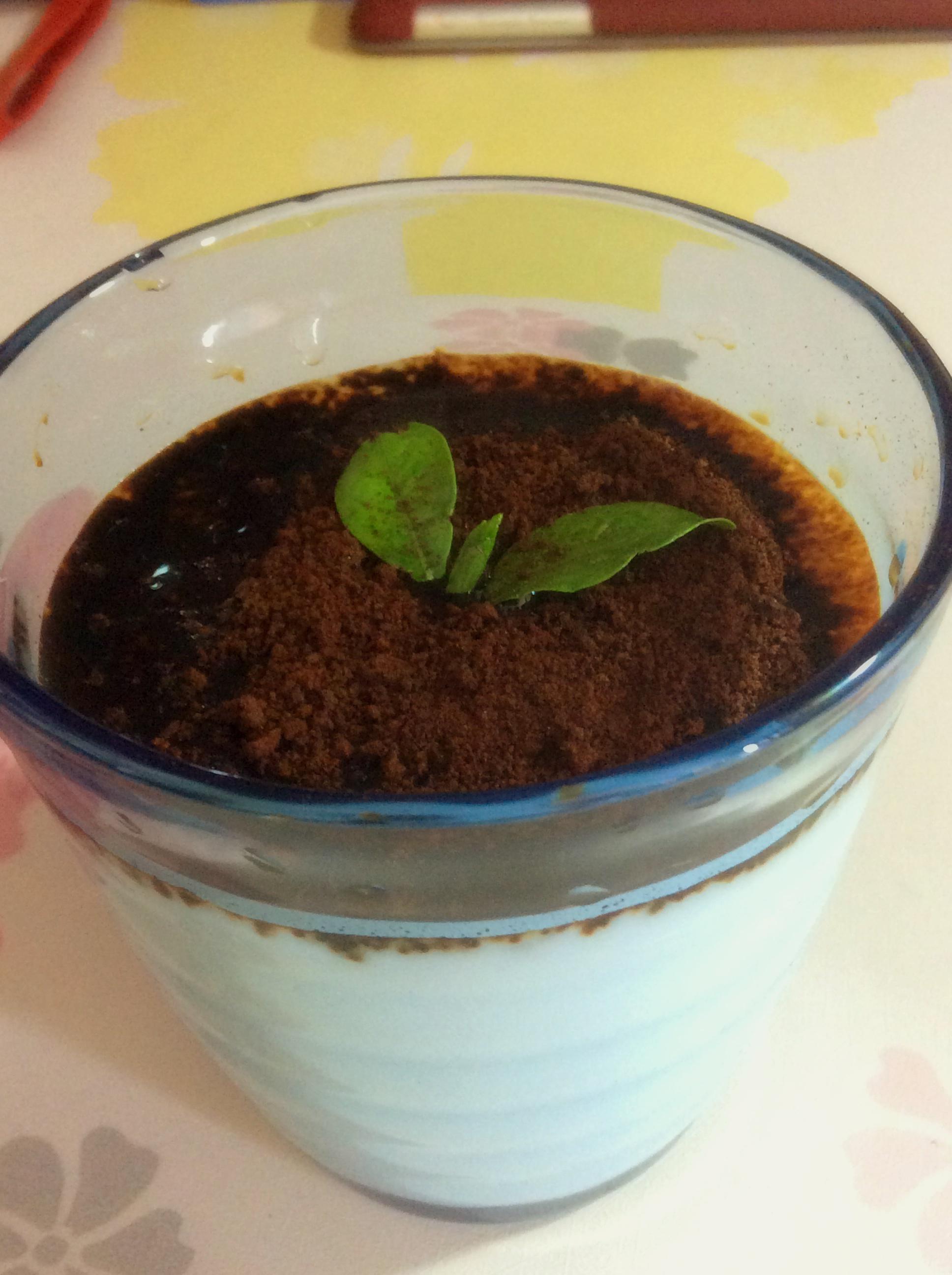 苦咖啡盆栽酸奶的做法