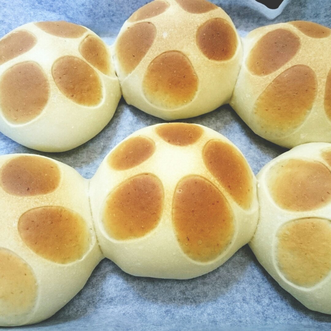 猫爪椰蓉面包——欧克皮的简单装饰