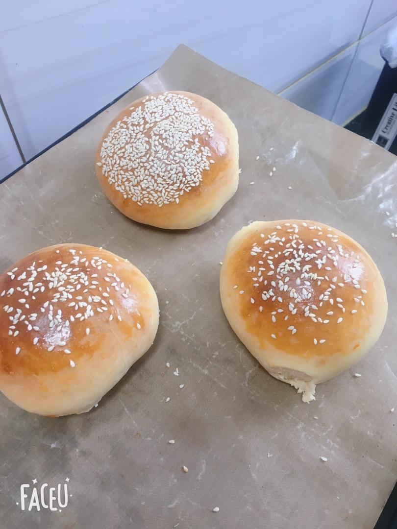 汉堡胚 poolish（波兰种）