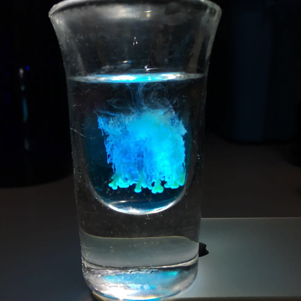 【鸡尾酒】水母
