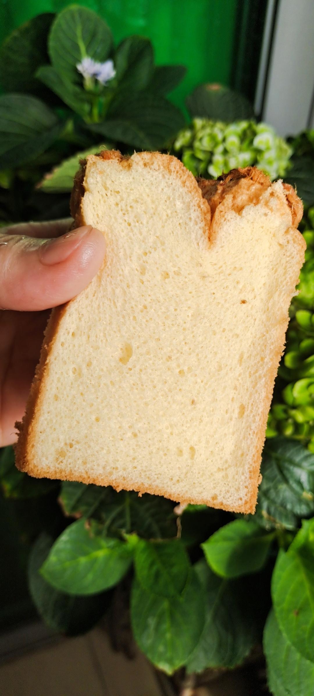 香葱肉松蛋糕卷-绵软细腻/可盐可甜