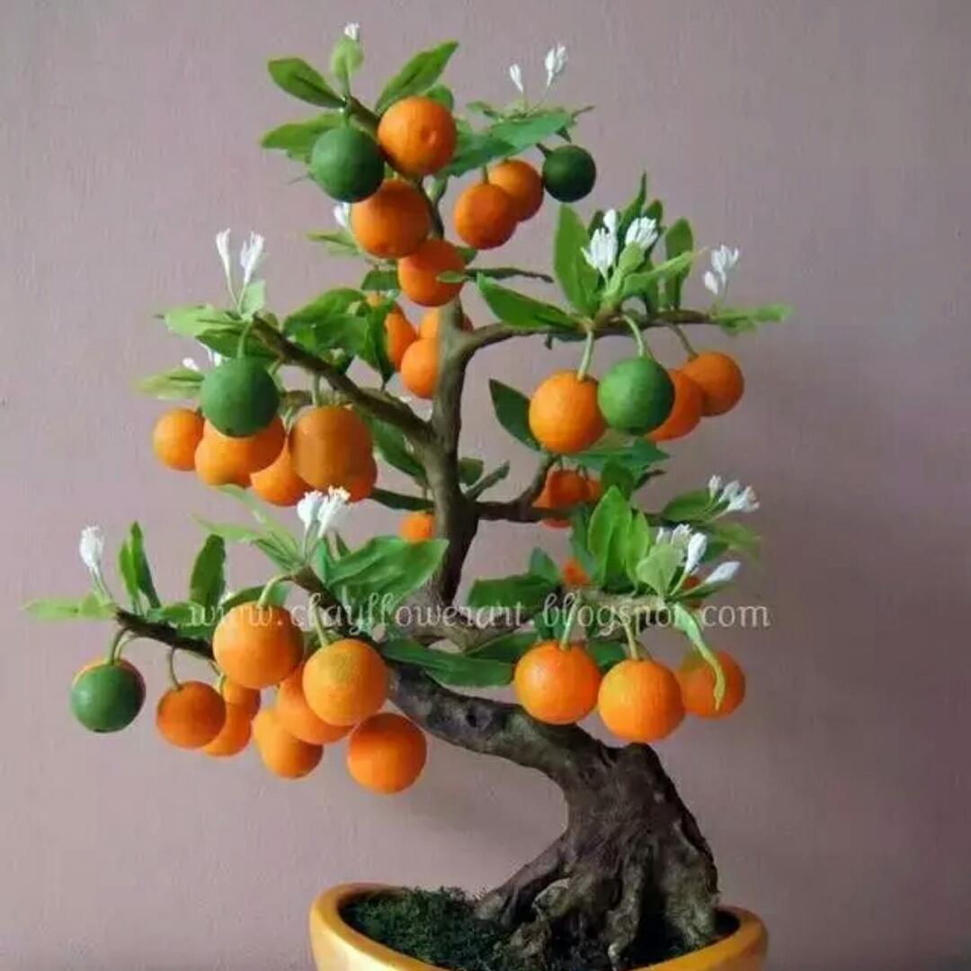 依然卓越的厨房