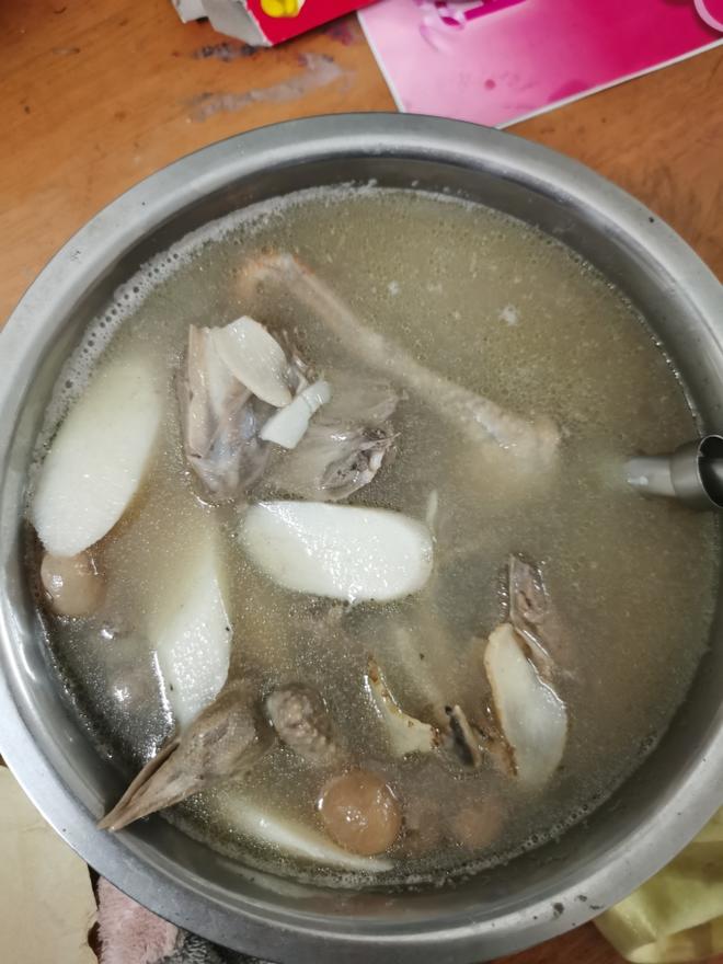 乳鸽汤的做法
