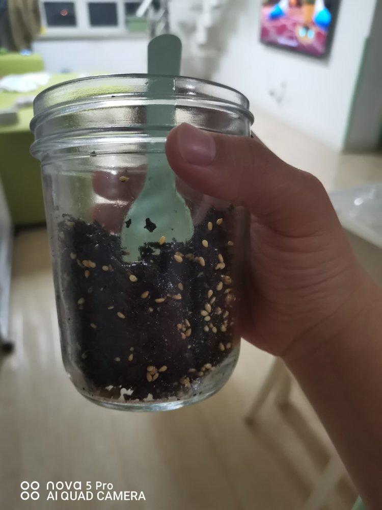 用紫菜做海苔【芝麻海苔碎】超级简单