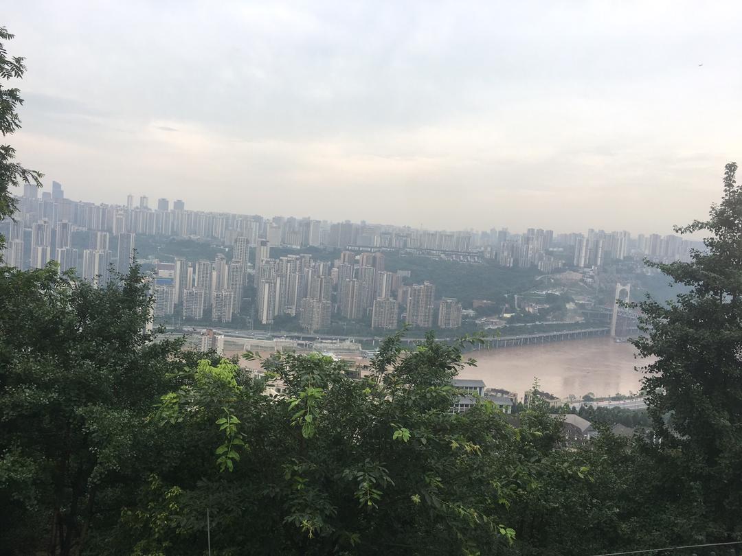 煎鲫鱼，不粘