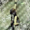 花花。花小姐╮