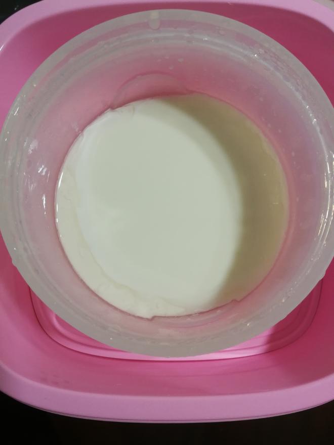 自制手工原味酸奶的做法