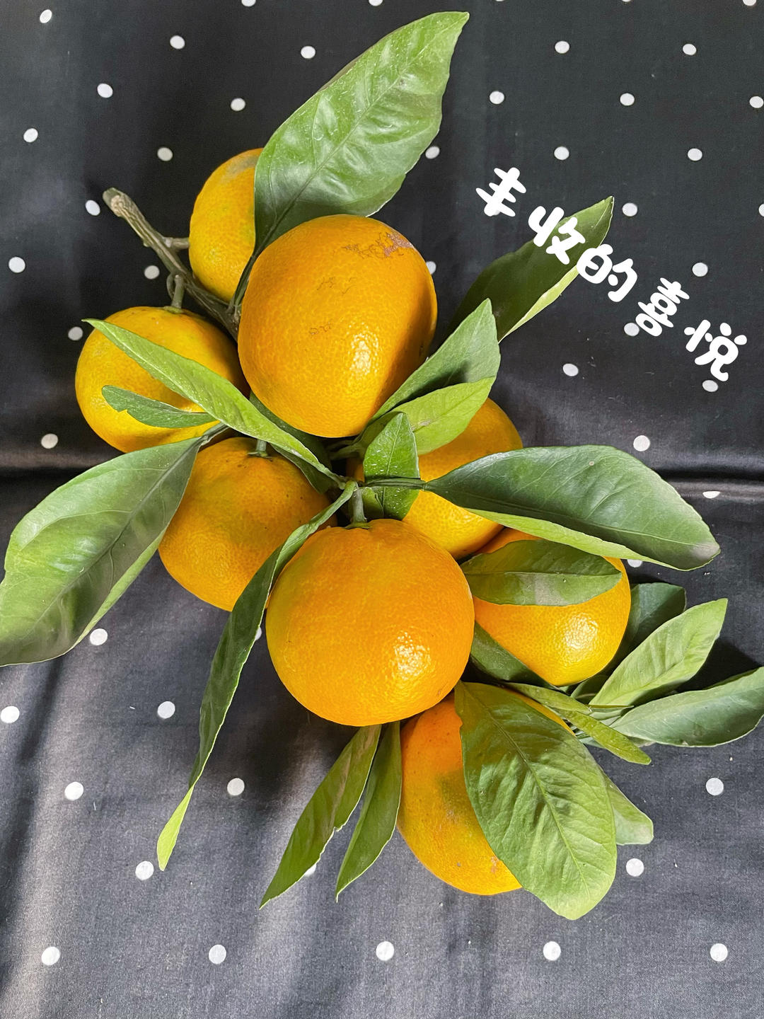 我的美食花儿鱼儿们~~O(∩_∩)O