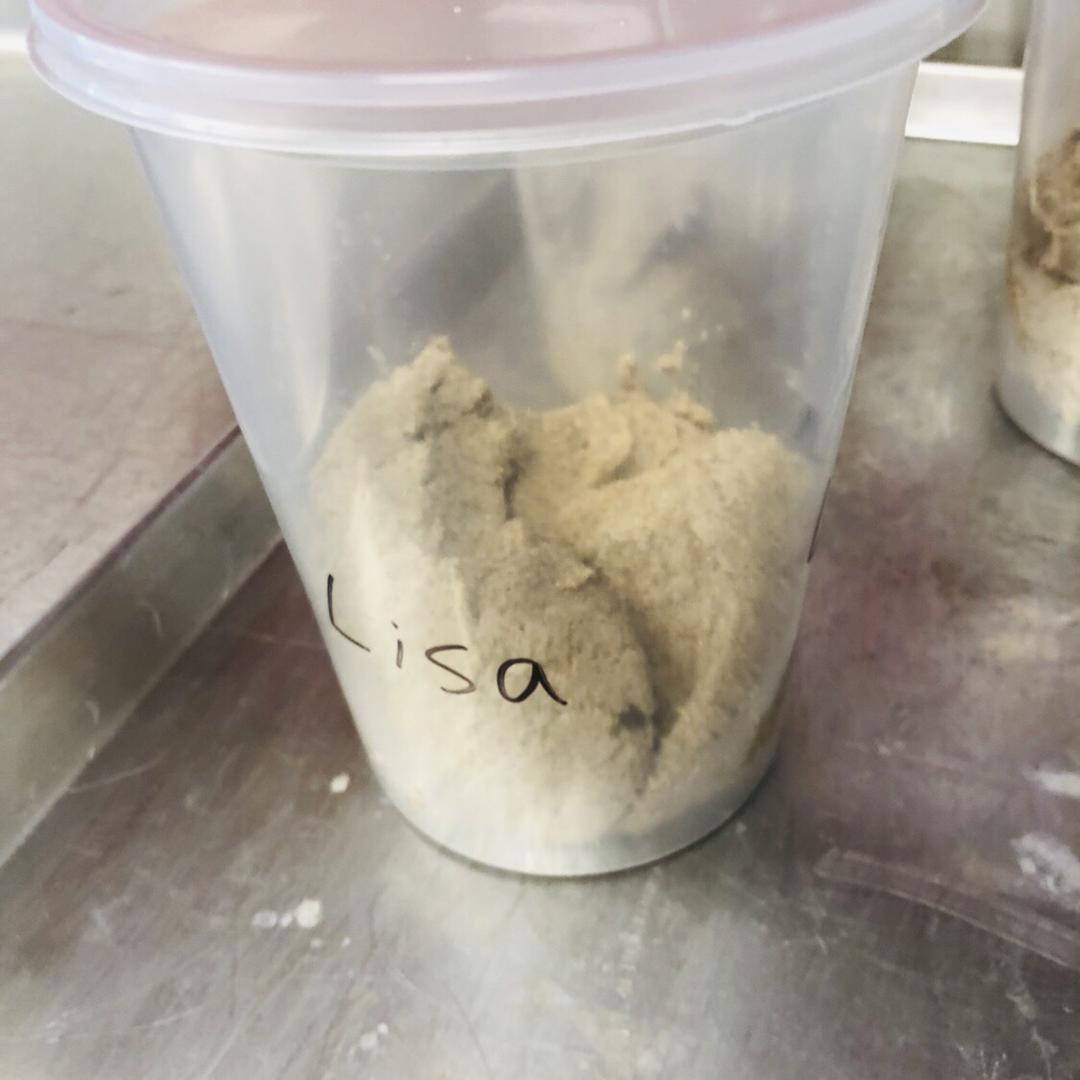 Basic sourdough starter 酸面团种