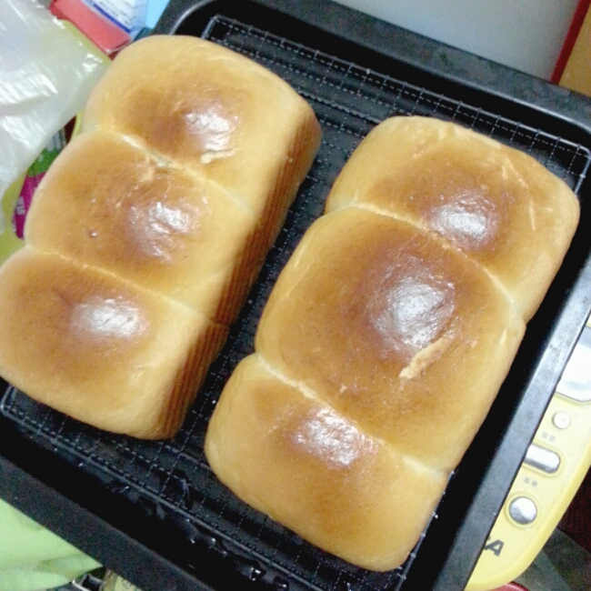 北海道牛奶吐司（100%冷藏中种法）