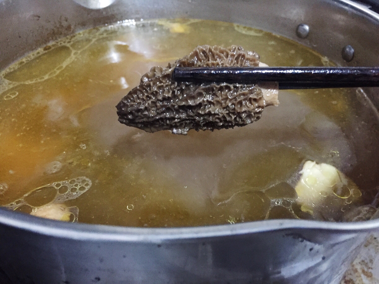 羊肚菌炖鸡汤（超详细攻略）的做法 步骤15