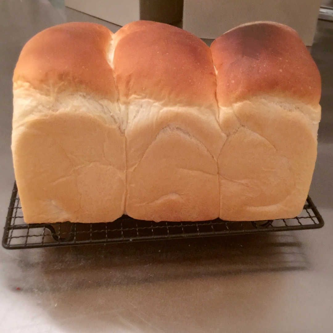 我的面包君