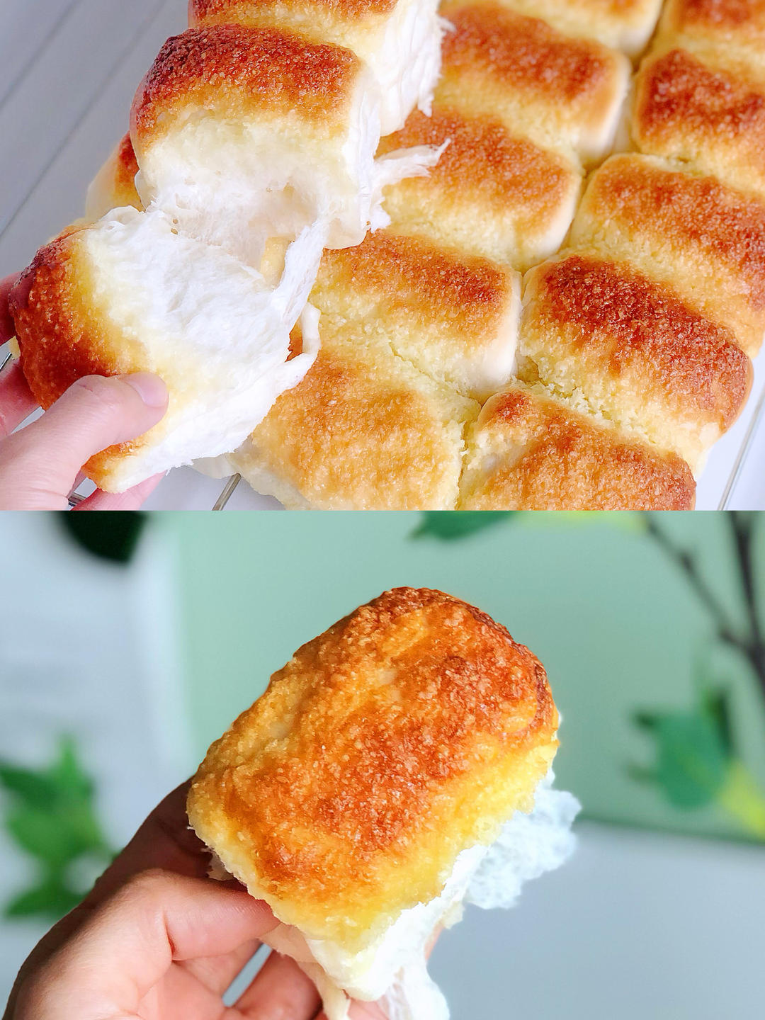 纯奶手撕吐司的做法 步骤1