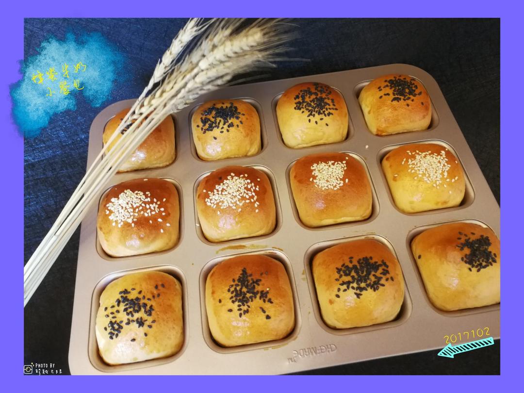 大人小孩都爱不释口的【蜂蜜牛奶小餐包】