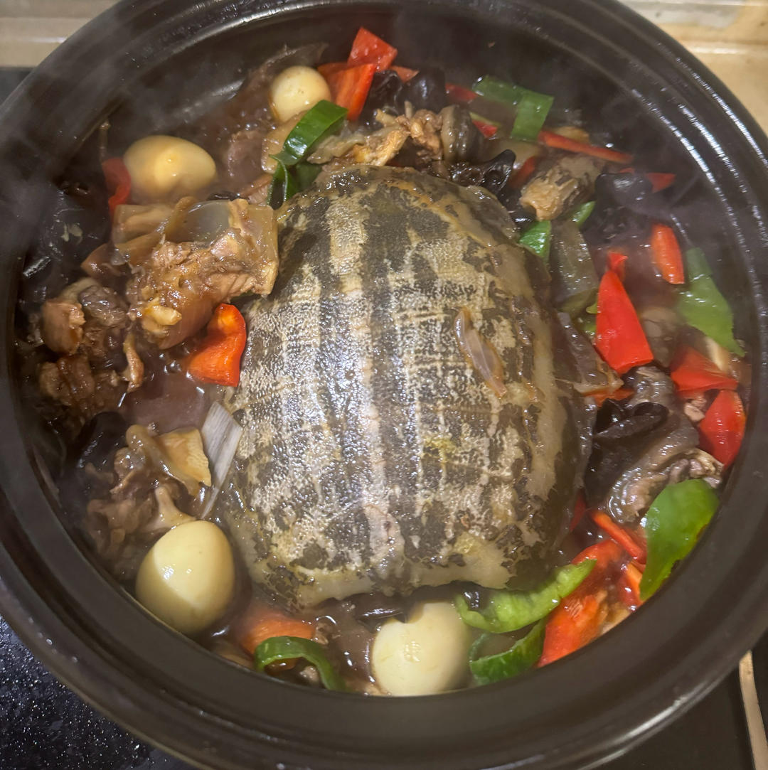 红烧甲鱼