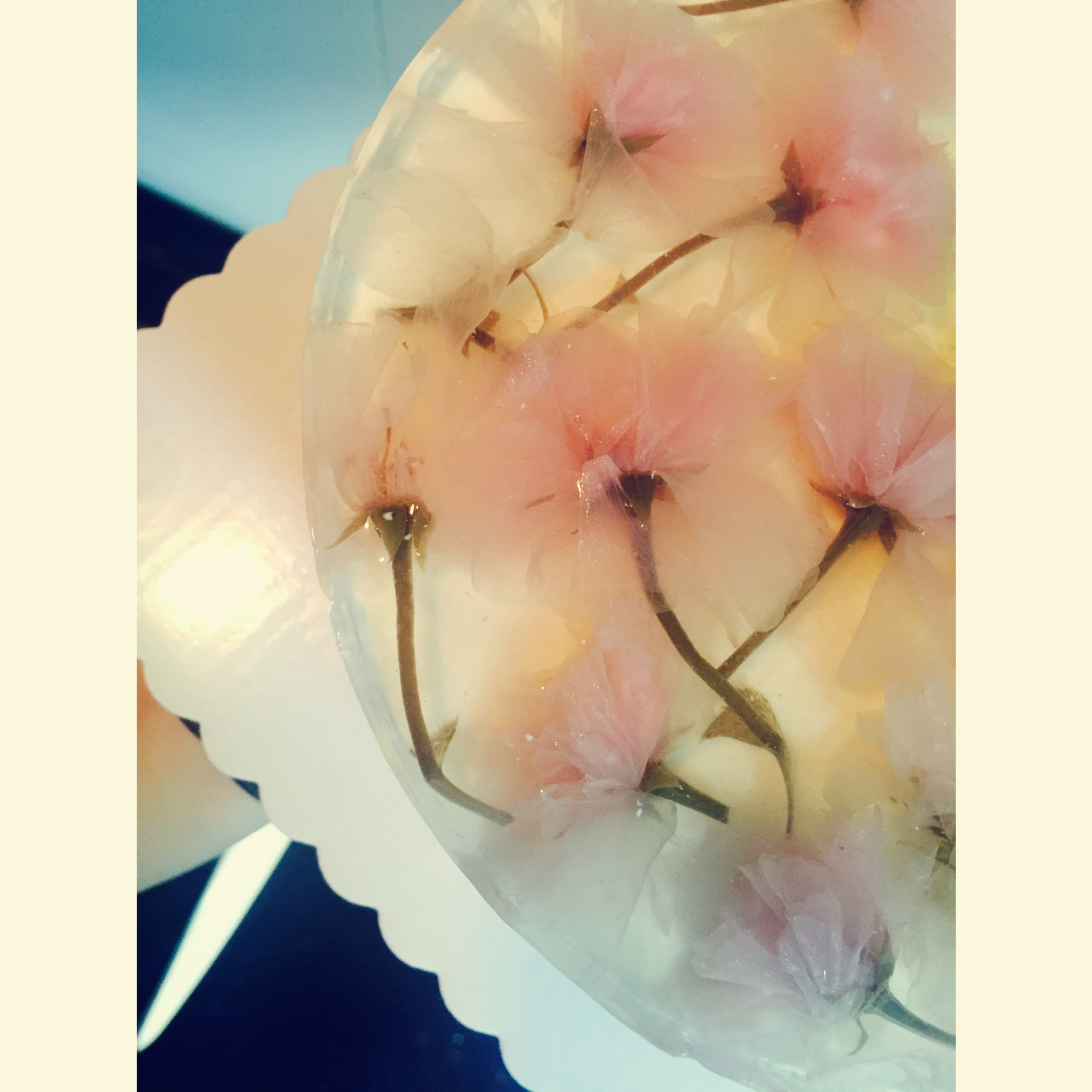 樱花双色紫薯慕斯