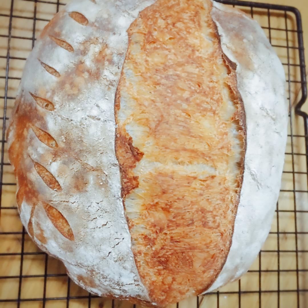 欧包组织分析-让我猜猜你的包子抽啥风？