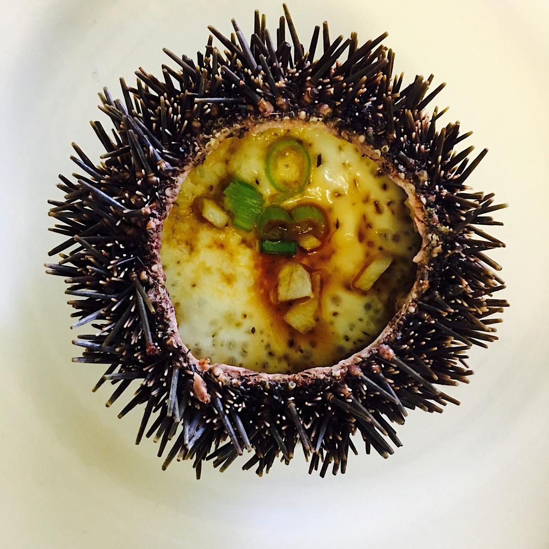 fei0208做的海胆蒸蛋