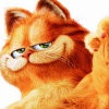 我是没有昵称的