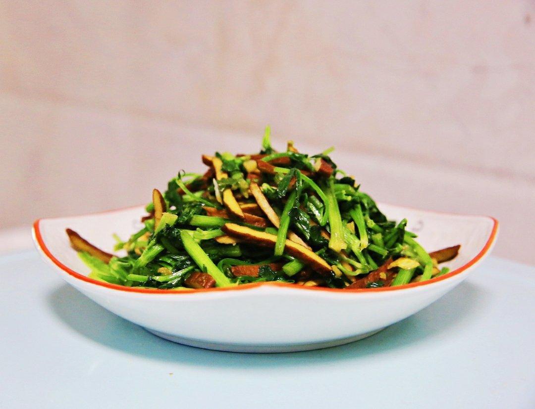 大掌柜的自留地