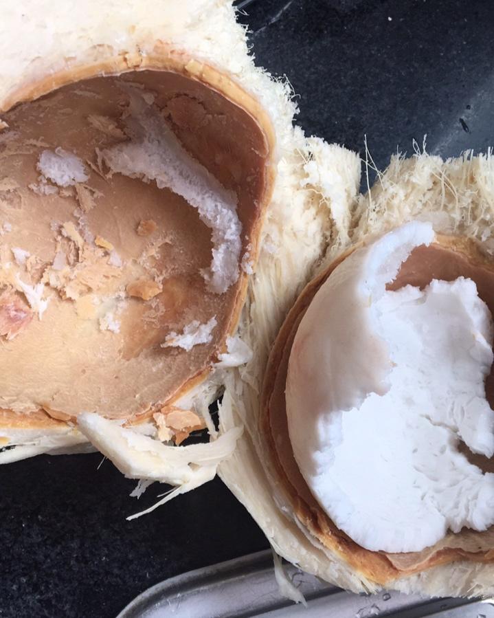 开心妮卡做的取椰肉不用刀