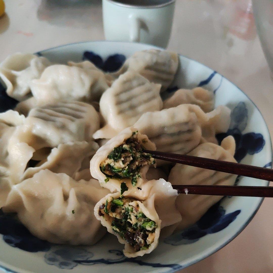 减脂饺子馅（菠菜鸡肉鸡蛋虾仁馅）
