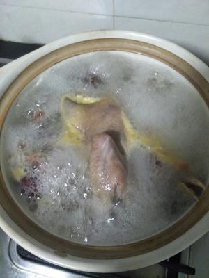 鸽子汤的做法 步骤2