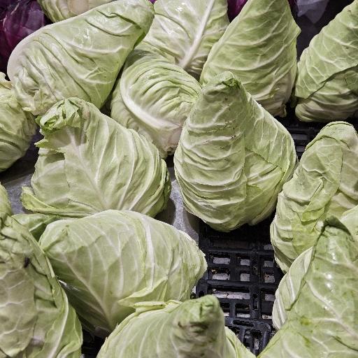 迪迪试图成为做饭大王