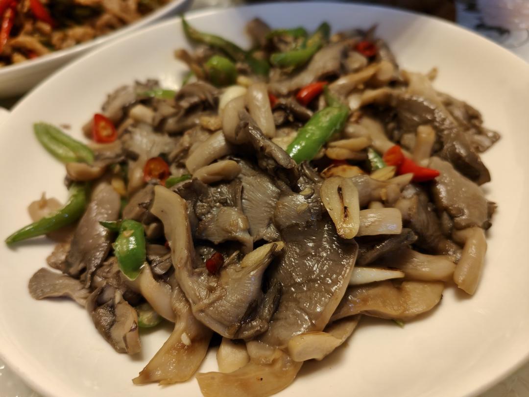 素炒平菇