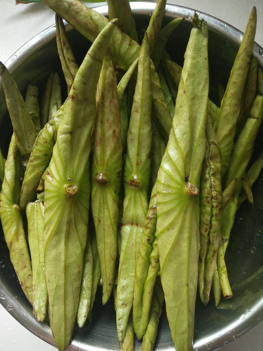 一米阳光的爱做的凉拌荷叶