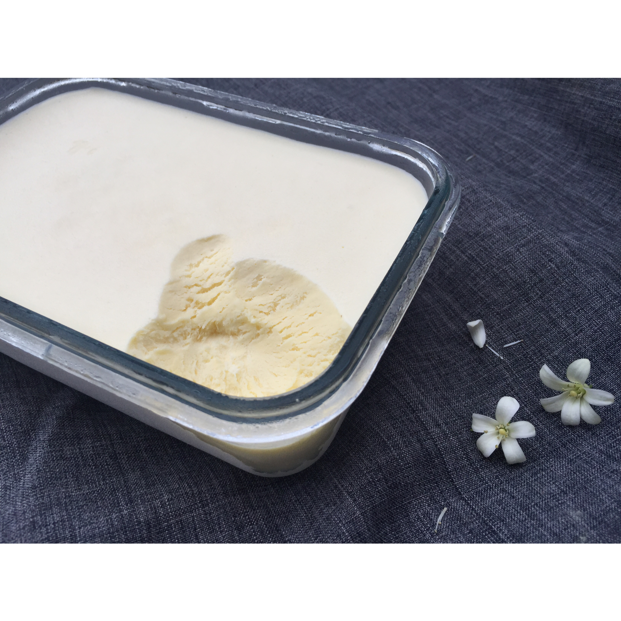 自制哈根达斯风味的冰淇淋