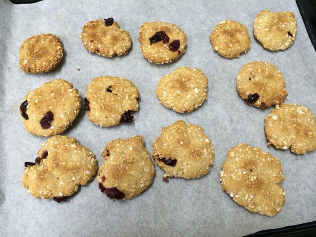 葡萄干燕麦饼（无油脂）