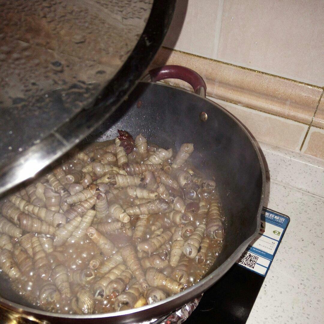 挂汁锥螺